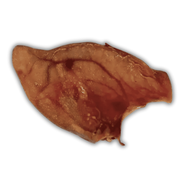 Friandise naturelle oreille de Porc séchée