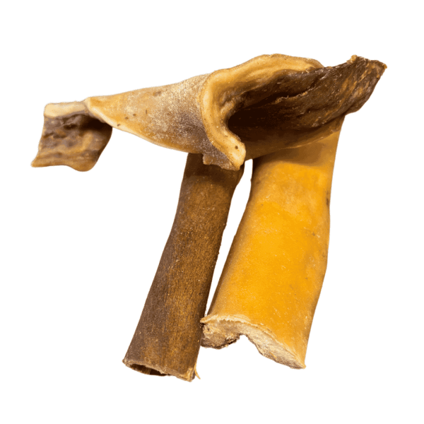 Peau de tête de boeuf