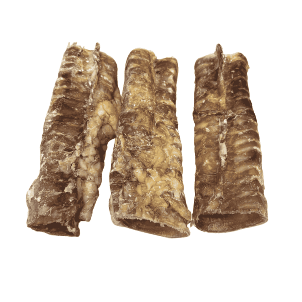 Trachée de Boeuf 15 CM