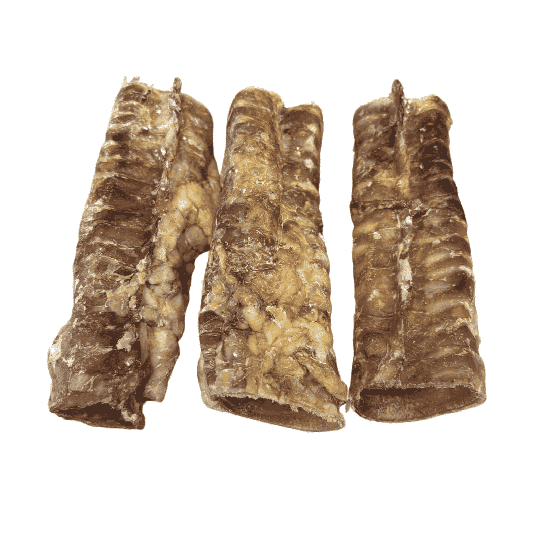 Trachée de Boeuf 15 CM