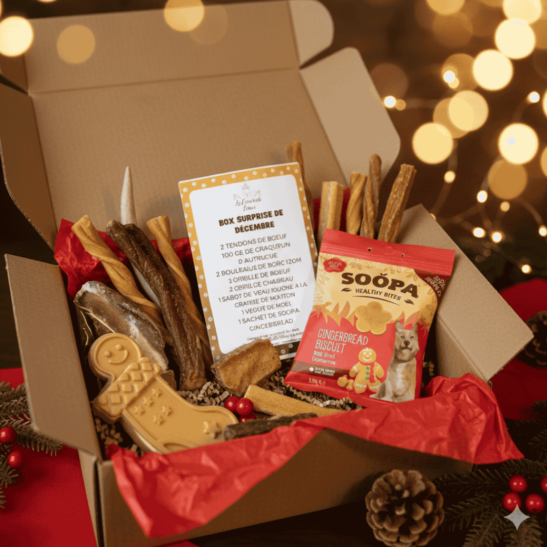 Boîte de friandise Surprise de Décembre