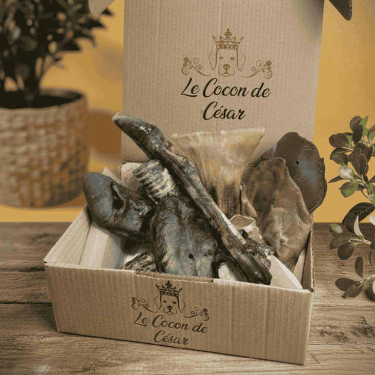 Boîte de Friandise Spéciale Grosse Machoire