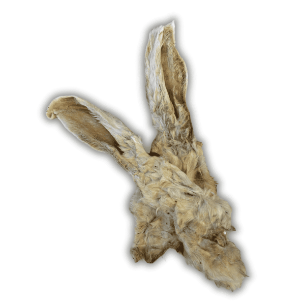 Oreille de lapin avec fourrure