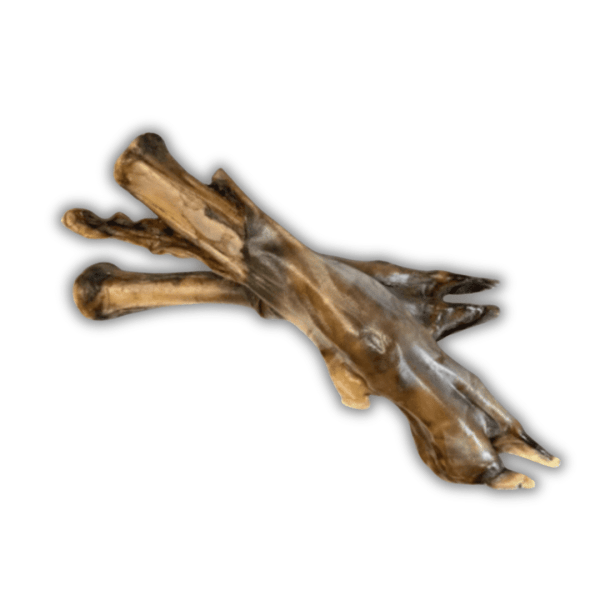 Bas  de jambes de Agneau