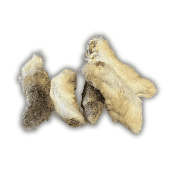 Pattes de lapin avec poil