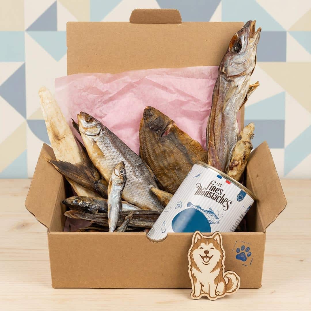 Box Spéciale poisson pour chien