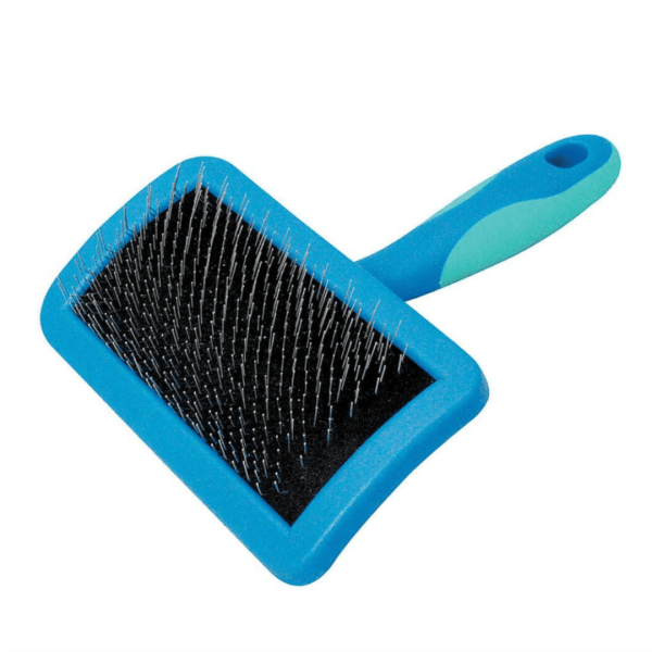 Carde à picot dur Taille M