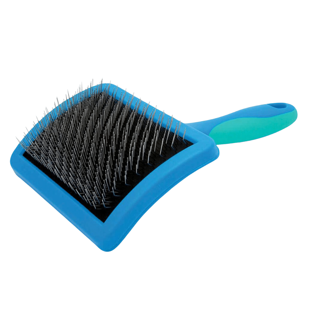 Carde à picot dur taille L