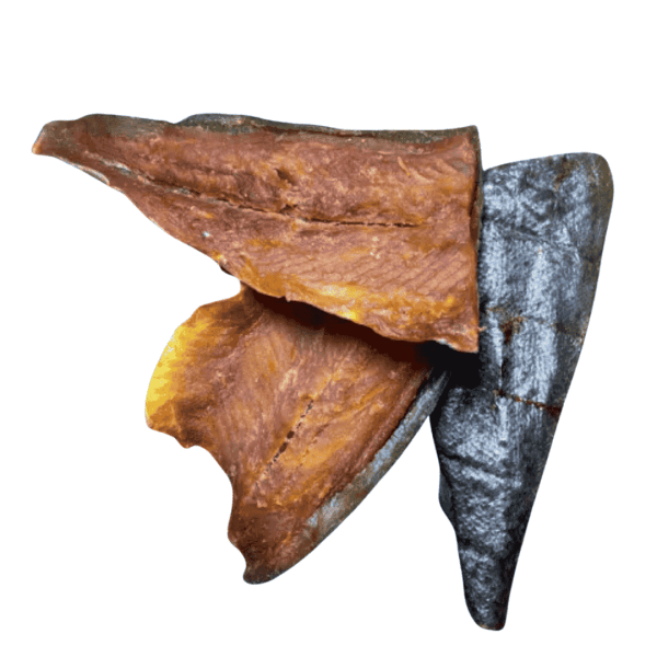 Filet de saumon sauvage pour chien