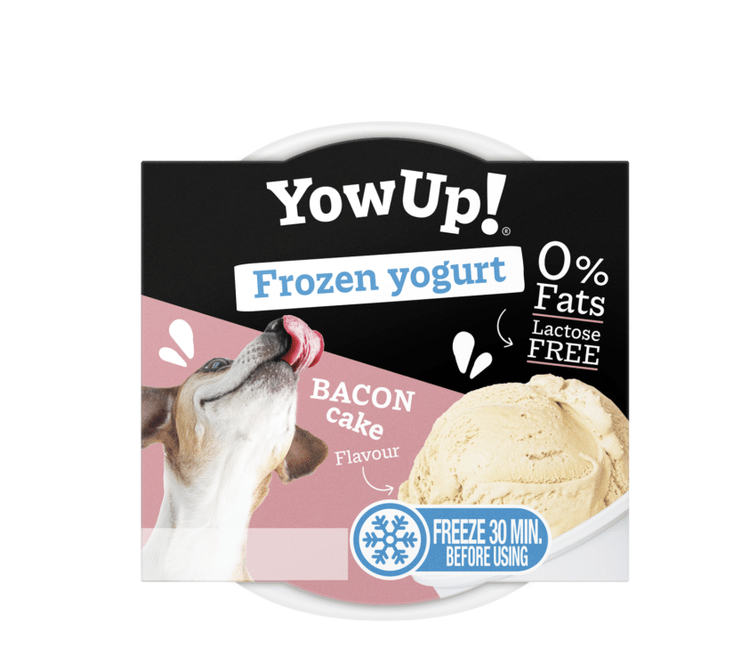 Yaourt glacé  - Yowup bacon cake