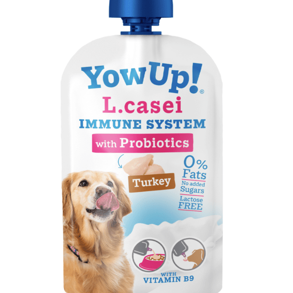 Yowup L.Casei systeme immunitaire