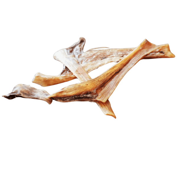 Tendons d'Autruche plat 250gr