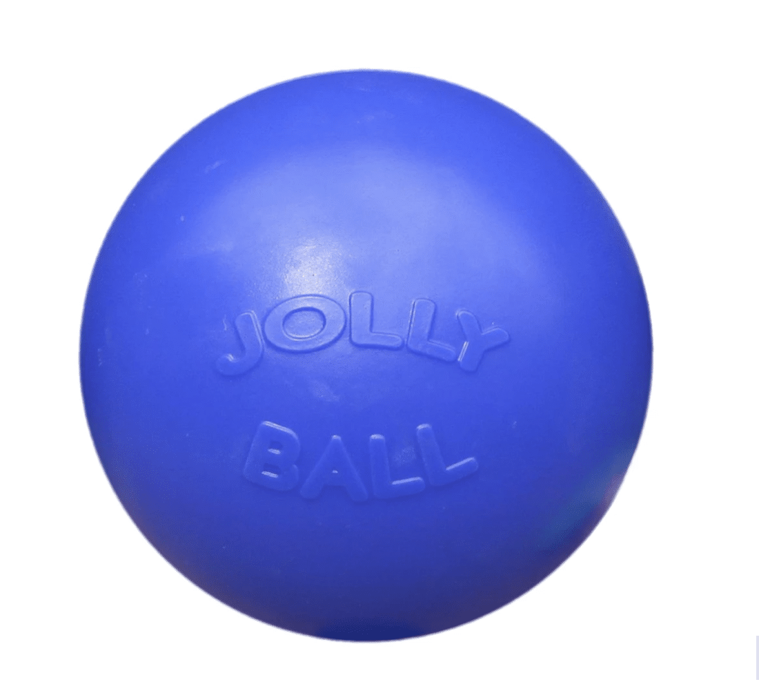 Jolly Push-n-Play Blue