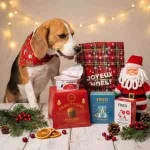 Repas de Noel pour chien