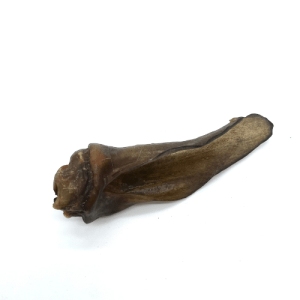 Oreille de biche