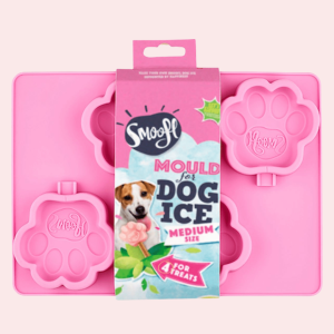 Moule pour glace