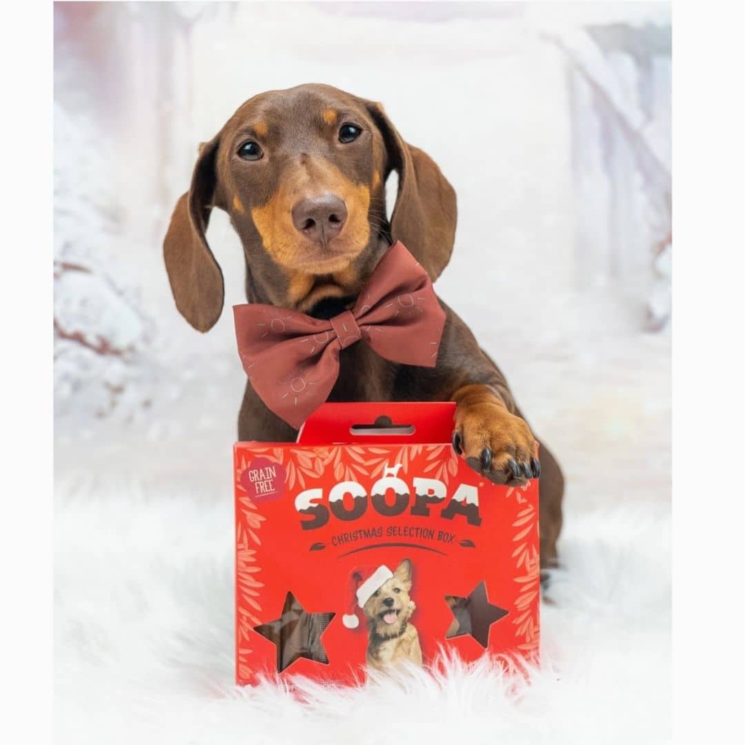 Soopa Canneberges et patates douces - Boîte de sélection de friandises pour chiens de Noël – Image 2