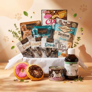 Box Bien-Être & Gourmandises pour Chat