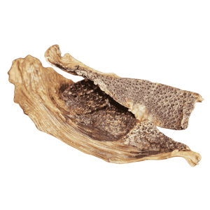 Lanière de viande d'Autruche 250gr