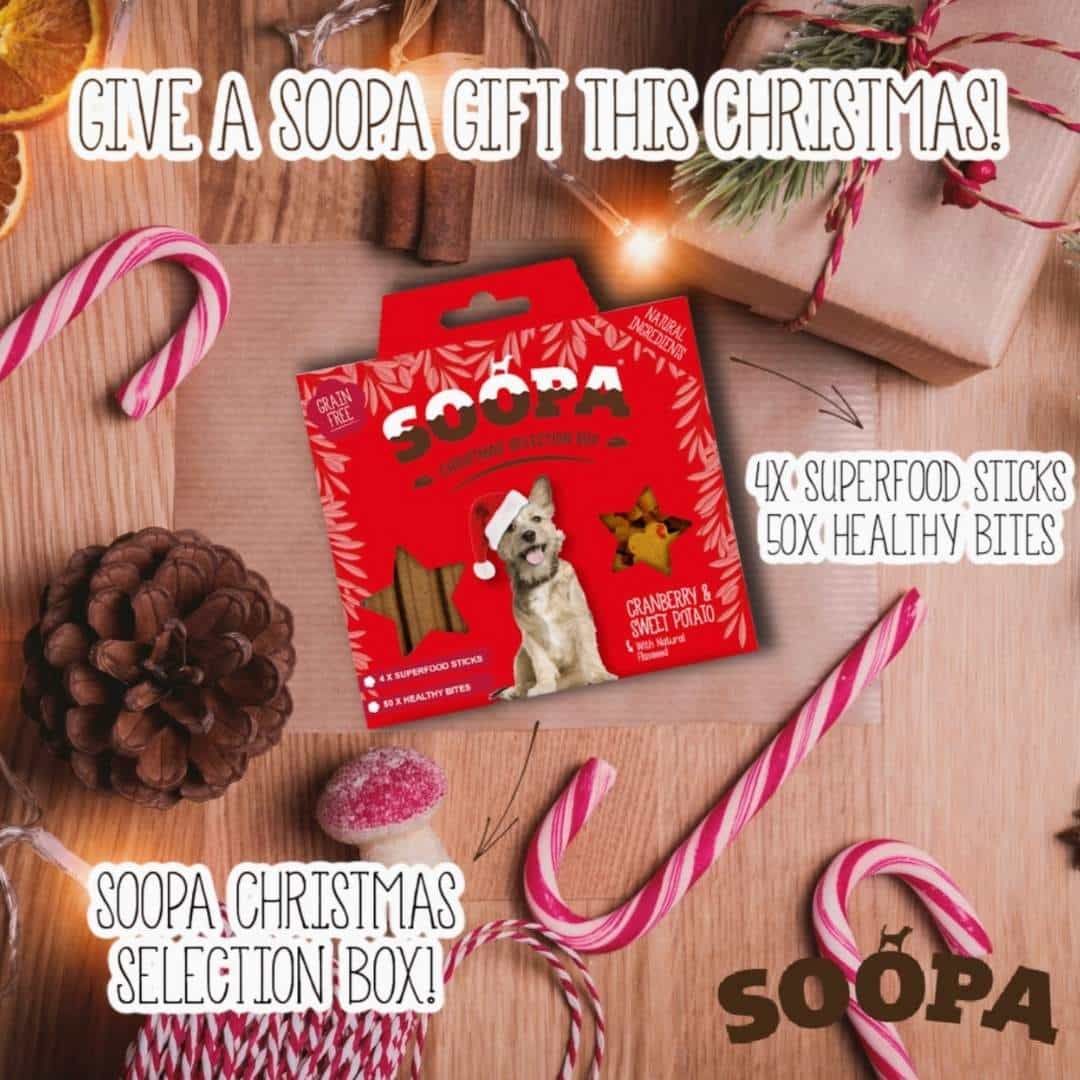 Soopa Canneberges et patates douces - Boîte de sélection de friandises pour chiens de Noël – Image 3