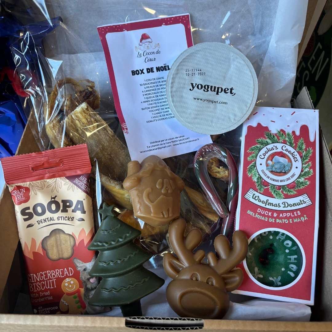 La Box de Noël pour chien – Image 2