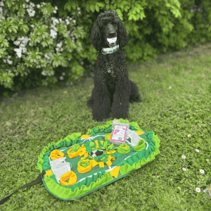 Pack découverte stimulation mentale