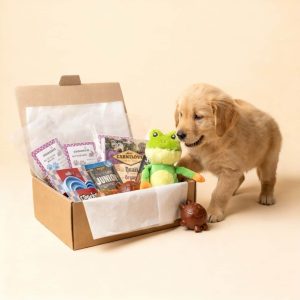 La Box spéciale chiot