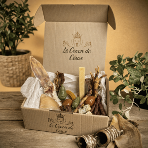 Boîte de Friandises Naturelles Petit Chien