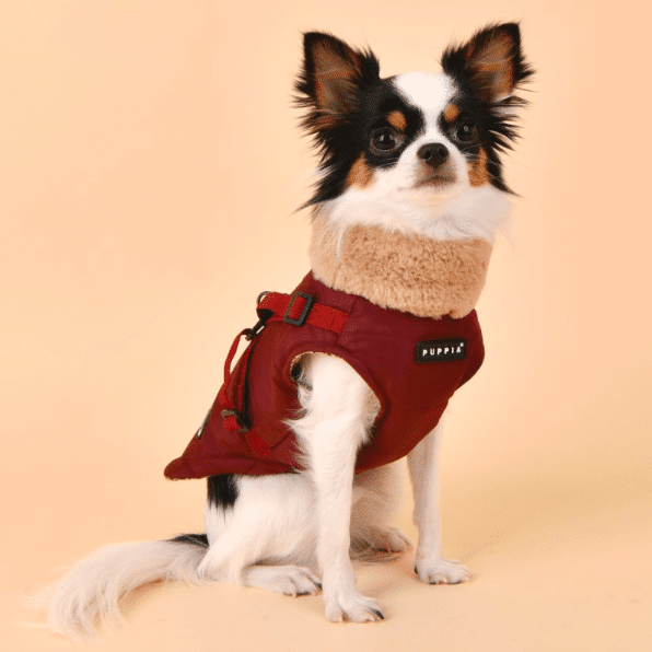 Manteau Puppia avec harnais intégré Bordeaux – Image 2