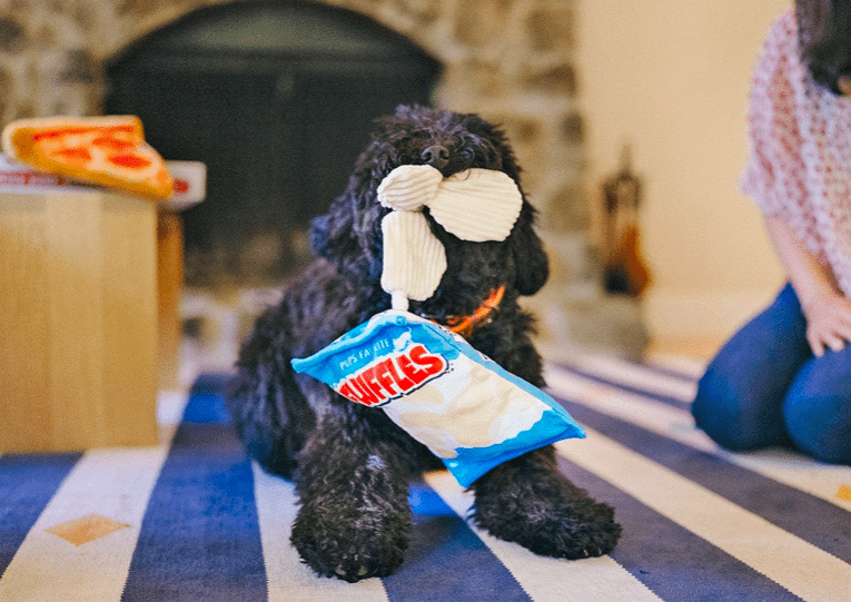 Peluche pour chien Chips Pet P.L.A.Y. – Image 3