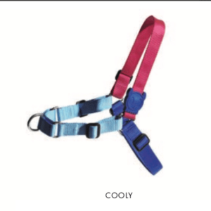 Harnais Soft Walk Cooly de Zeedog