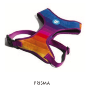 Harnais Prisma air mesh de Zeedog