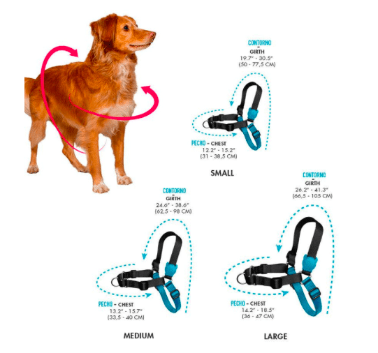 Harnais Soft Walk Cooly de Zeedog – Image 2
