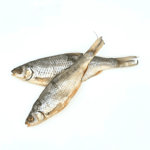 Gardons - friandise pour chiens