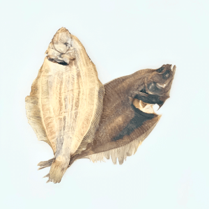 Limande - Friandise pour chiens