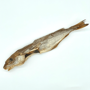 Eglefin - Friandise naturelle pour chien
