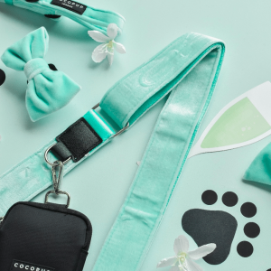 Bandoulière pour sac Cocopup velour turquoise royal