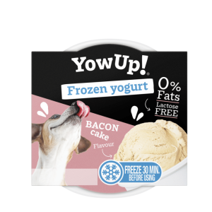 Yaourt glacé  - Yowup bacon cake
