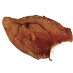 Oreille de Porc XL
