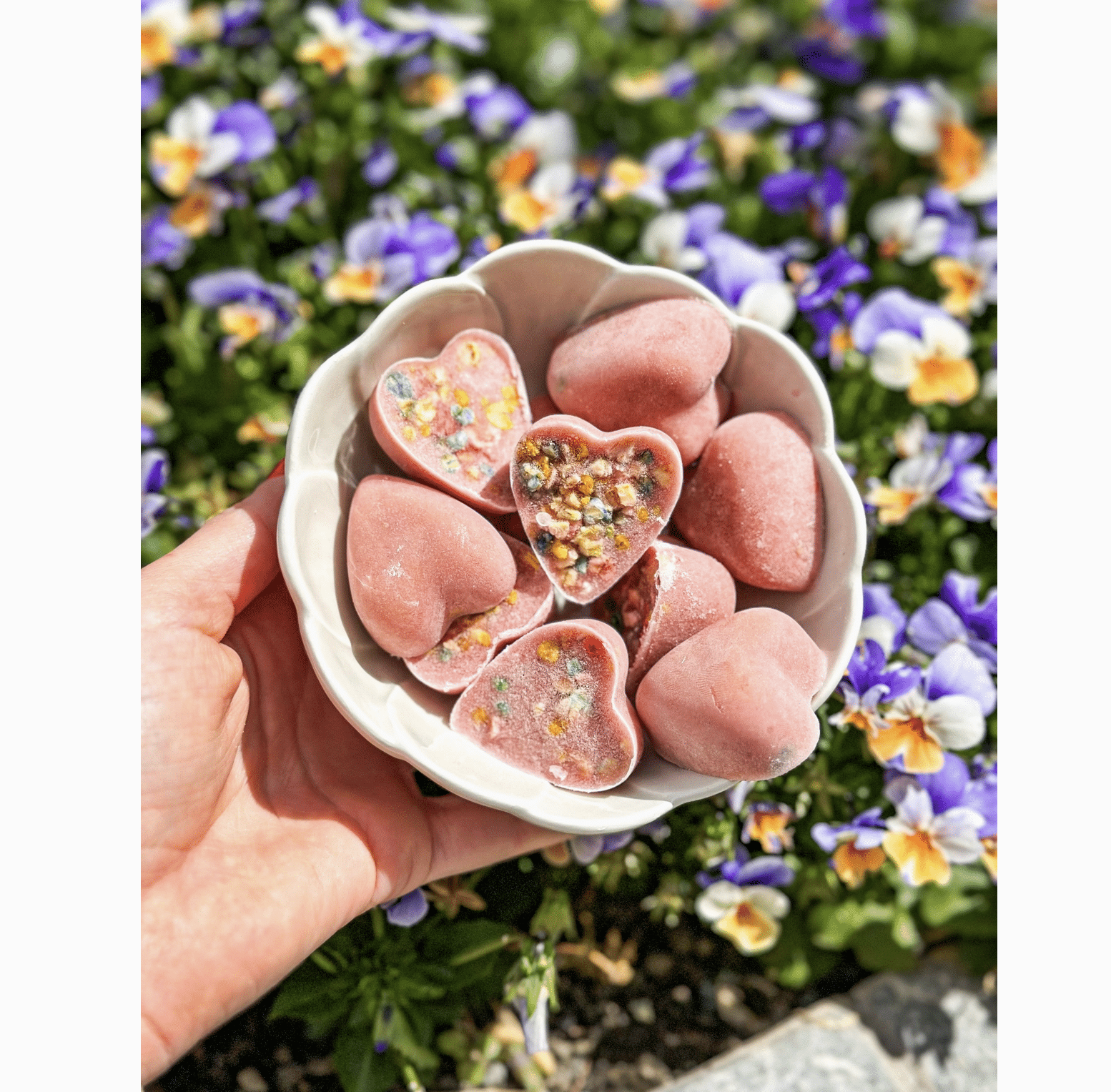 Mélange de crème glacée au vrai poulet et à la fraise pour animaux - Cooka's Cookies – Image 4
