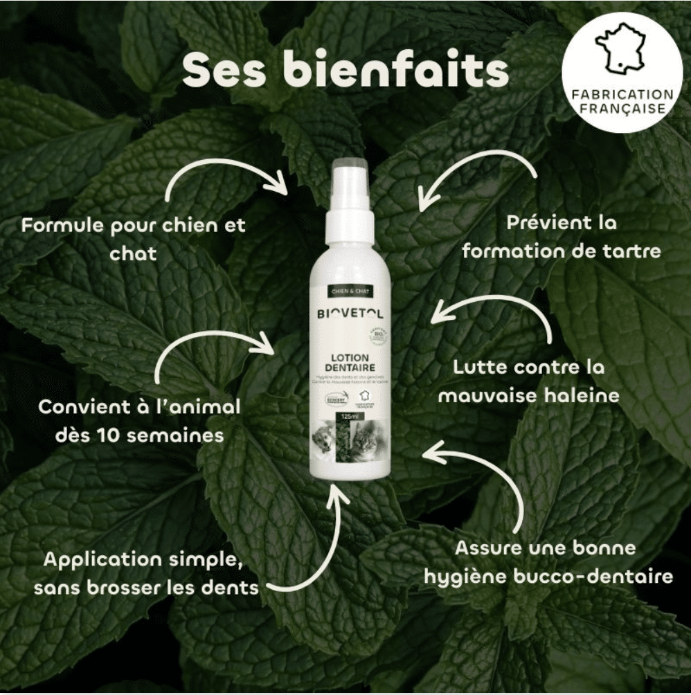 Lotion Dentaire bio* BIOVETOL – Image 3