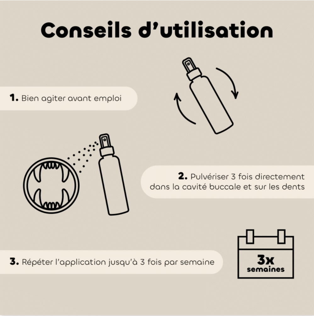 Lotion Dentaire bio* BIOVETOL – Image 2