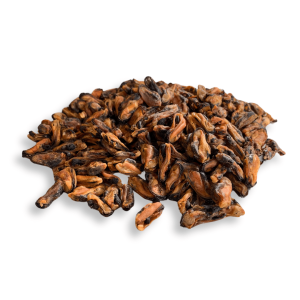 Moules - friandises pour chien et chat