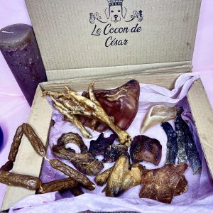 Boîte de Friandises Naturelles Petit Chien