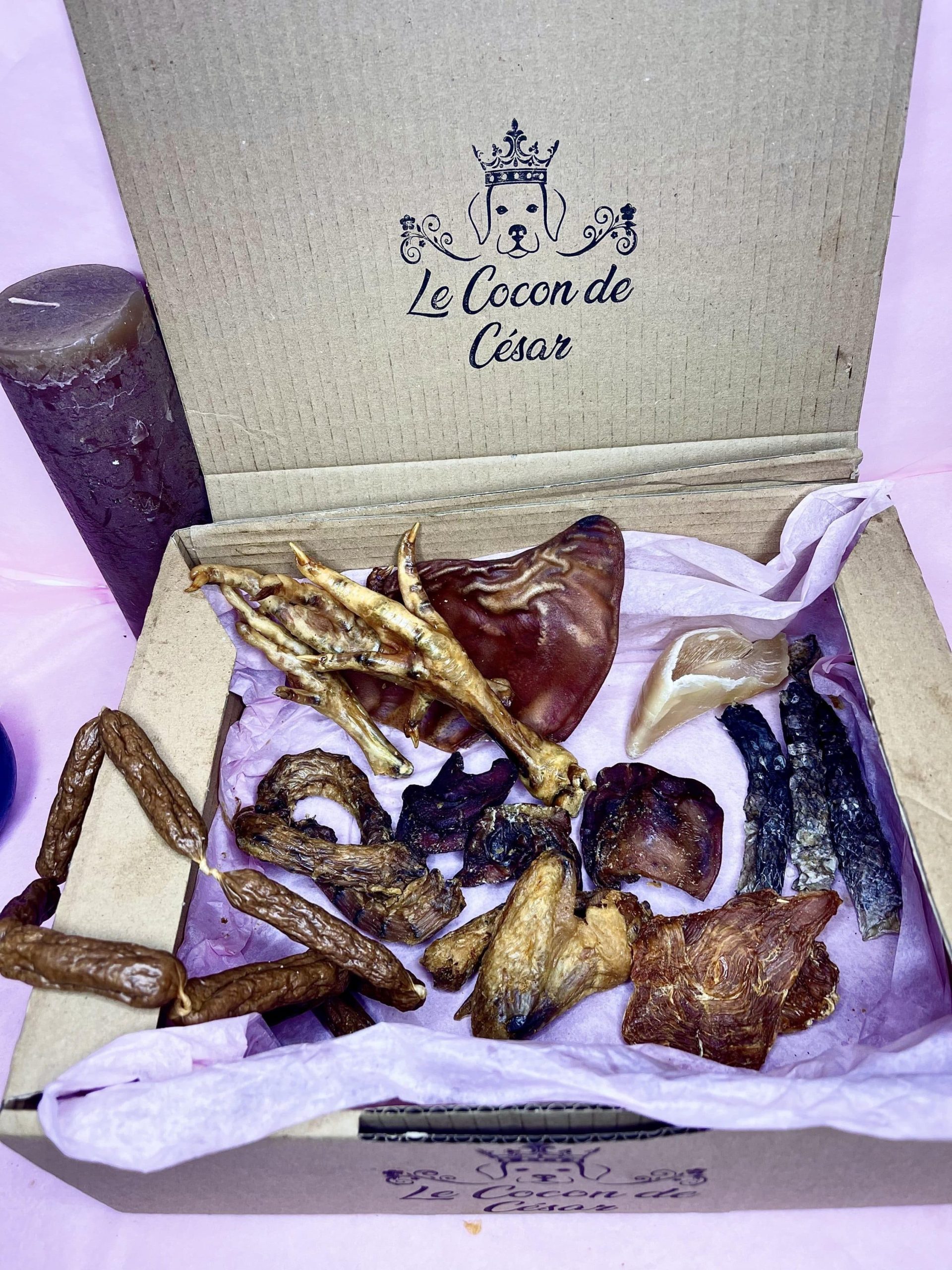 Boîte de Friandises Naturelles Petit Chien