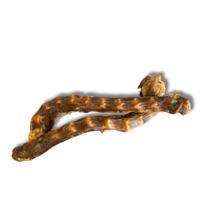 Cou d'Oie - friandise pour chien