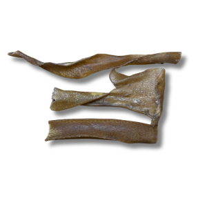 Peau de sanglier 15 cm