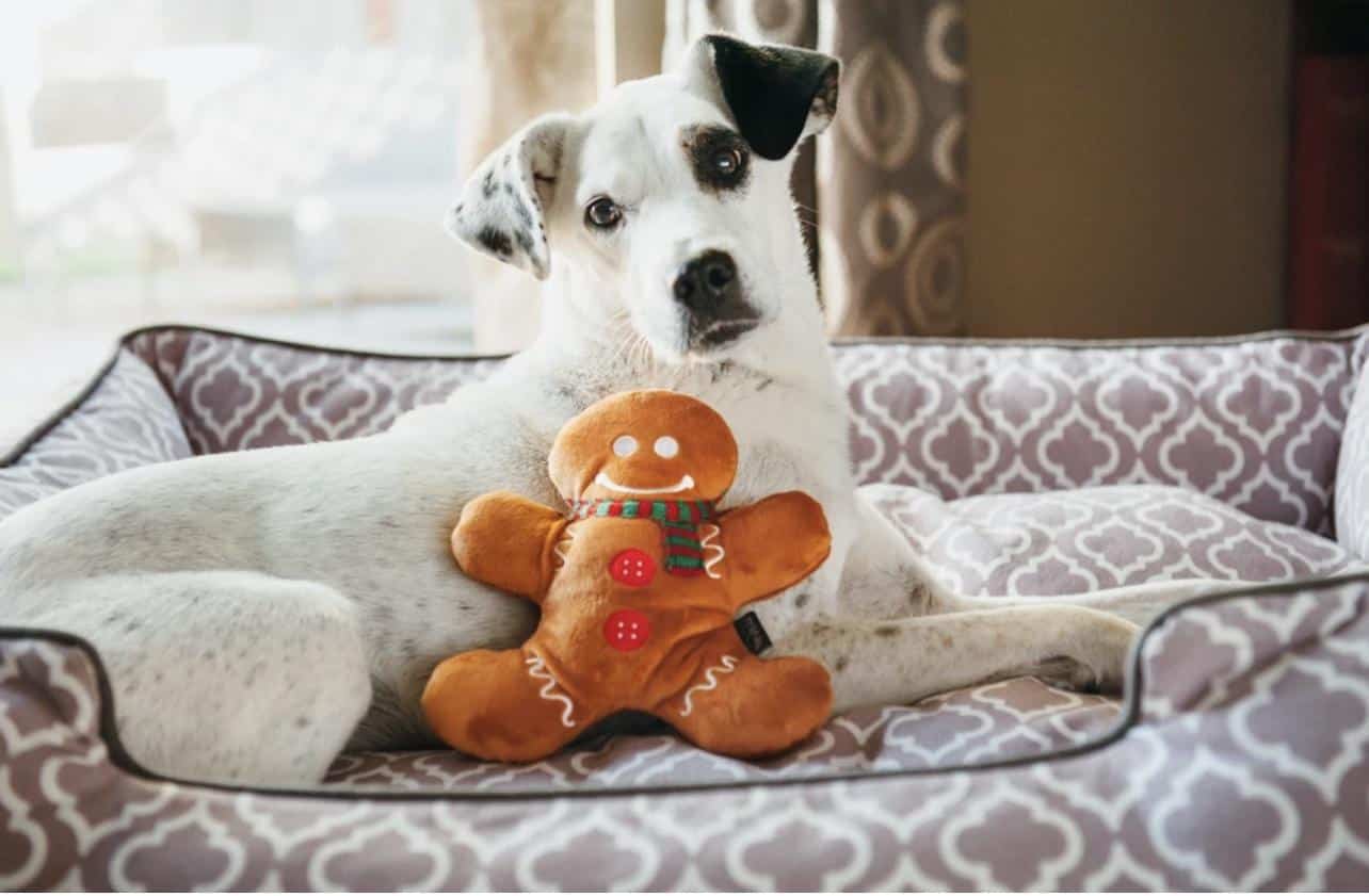 Peluche de noël Bonhomme Pain d’épices – Image 2