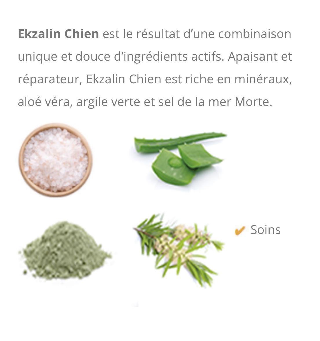 Ekzalin chien – Image 2