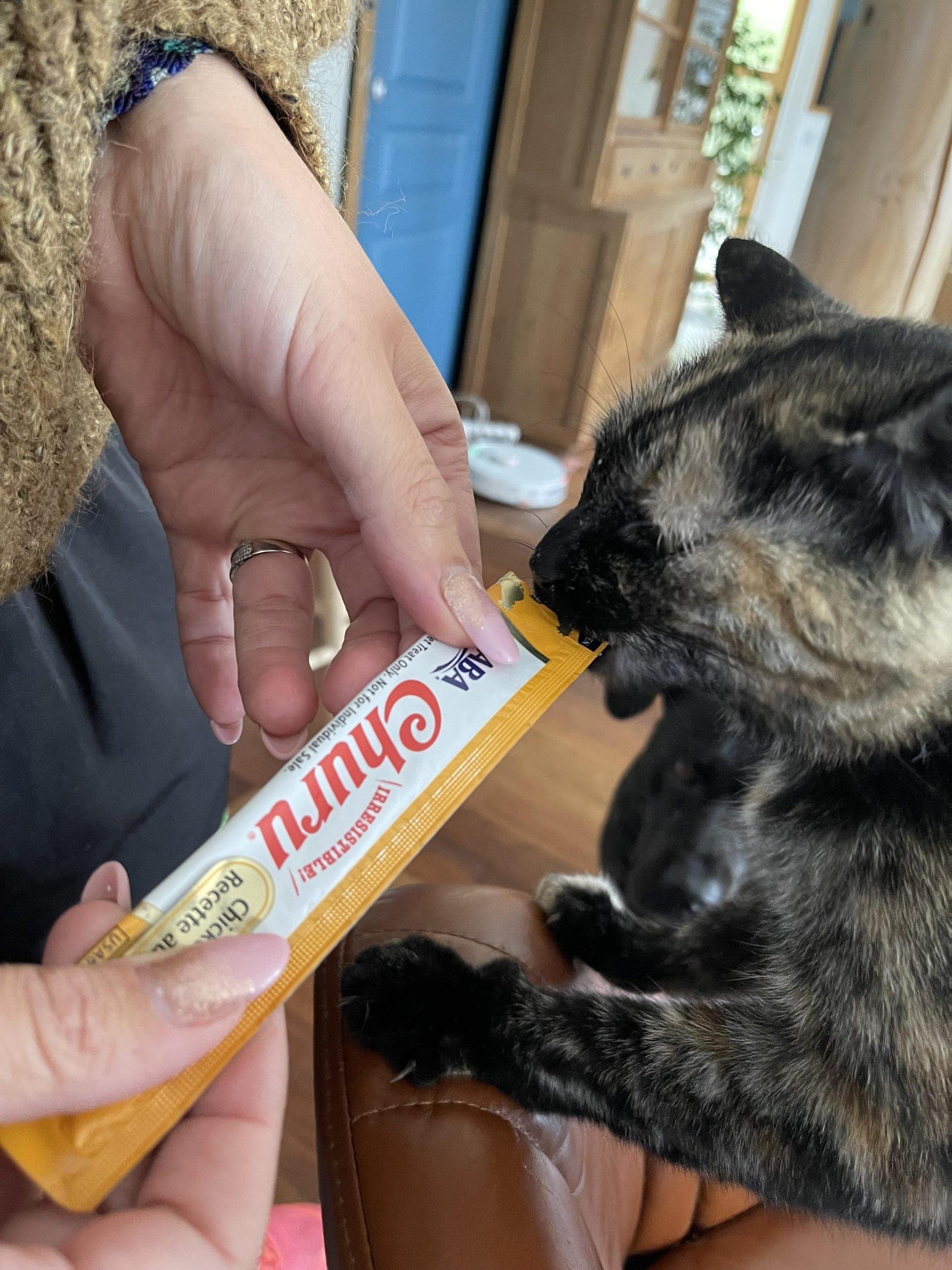 Churu pops pour chat au poulet – Image 2